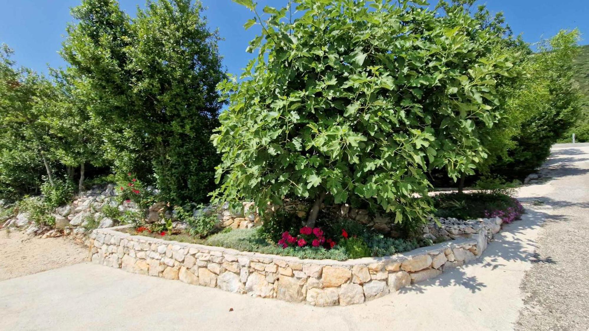 Villa Paradise Garden Стон Экстерьер фото